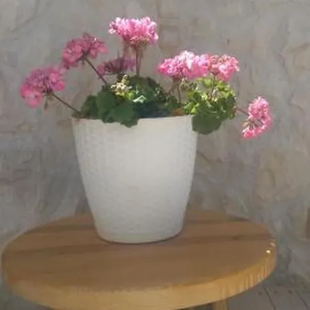 In Privlaka Mit Grill, Garten Und Terrasse Привлака